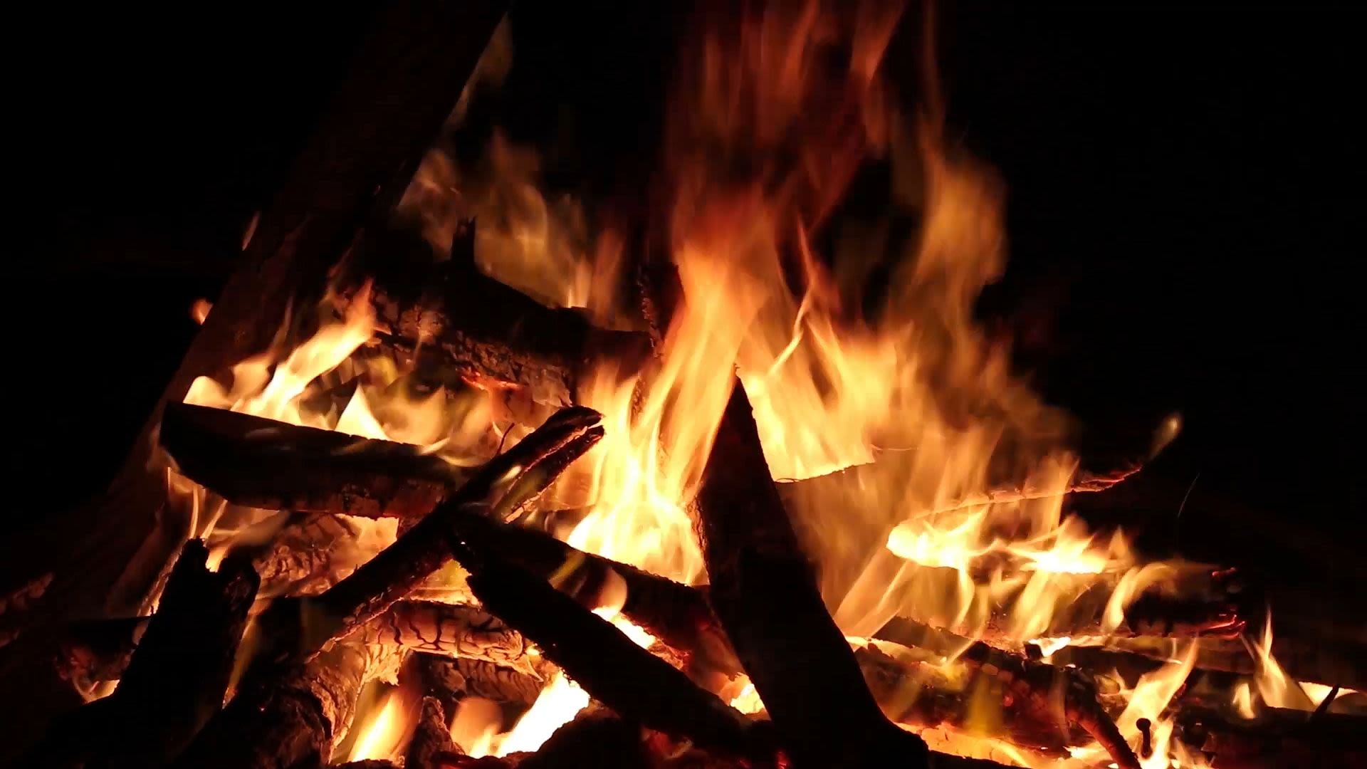BONEFIRE EVENING